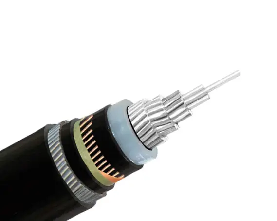 12.7/22(24)kV XLPE Insulated Power Cable (AS/ZNS Standard)