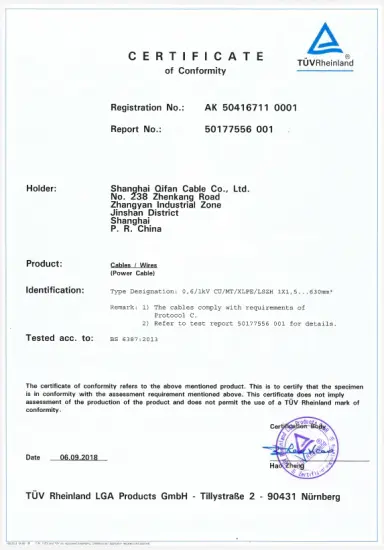 certificate-11