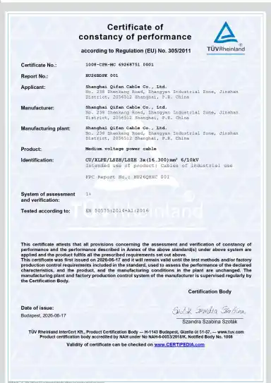 certificate-29
